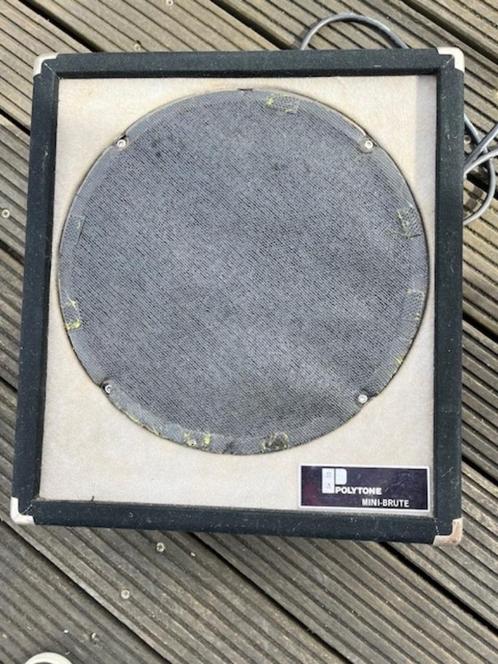Polytone Mini /Teeny-brute gitaarversterker, Muziek en Instrumenten, Versterkers | Bas en Gitaar, Gebruikt, Gitaar, 50 tot 100 watt