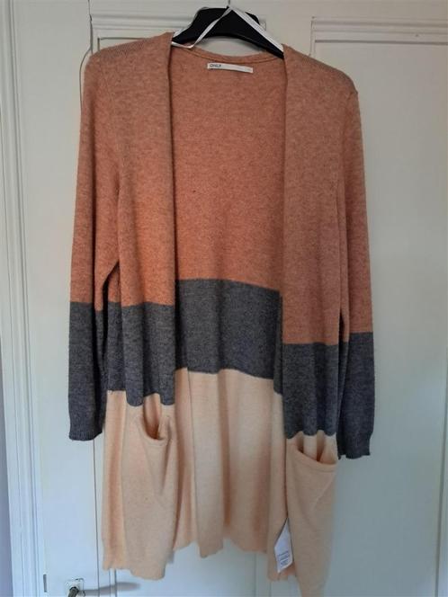 Lange vest 3 kleuren maat XL, Kleding | Dames, Truien en Vesten, Zo goed als nieuw, Maat 42/44 (L), Roze, Ophalen of Verzenden