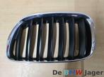 Grill links zwart met chroom BMW X5 E53 51137113733, Gebruikt, Ophalen of Verzenden, BMW, BMW