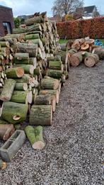 hard hout,kastanje,beuk,essenhout, Ophalen, Essenhout