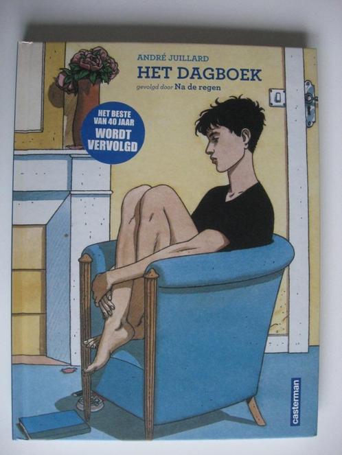 HET DAGBOEK – NA DE REGEN – Integrale –  HC – Nieuwstaat, Boeken, Stripverhalen, Zo goed als nieuw, Eén stripboek, Ophalen of Verzenden