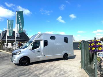 Renault Master 165 CV MTM FILOVAN S5 DUB.CAB. NOUVEAU ! ! !, Enlèvement, Neuf, Aluminium, Remorque 2 chevaux