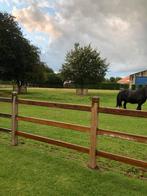 Paardjes, Dieren en Toebehoren, 2 of 3 paarden of pony's