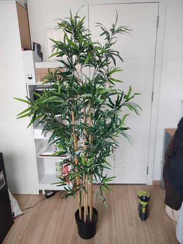 Faux bambou  beschikbaar voor biedingen