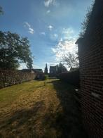 Weidemaatje gezocht miniatuurpaard - Haacht, Dieren en Toebehoren, Weidegang, 1 paard of pony