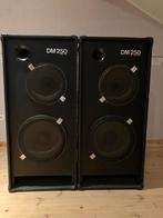 Dm 250 boxen, Audio, Tv en Foto, Ophalen, Zo goed als nieuw