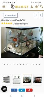 Terrarium voor gerbil en degoe, Animaux & Accessoires, Reptiles & Amphibiens | Accessoires, Enlèvement, Comme neuf