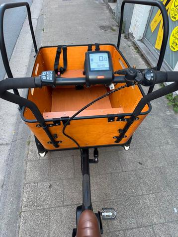 Vogue E bike Bakfiets Carry 3 36V/13Ah beschikbaar voor biedingen
