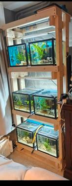Aquariums, Dieren en Toebehoren, Ophalen, Gebruikt, Leeg aquarium