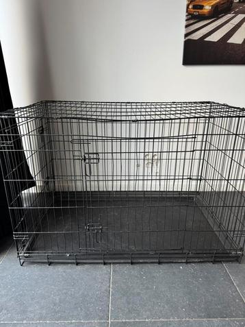 Honden bench beschikbaar voor biedingen