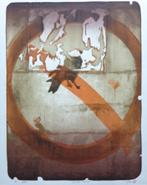 VEERLE ROOMS / VERBODEN NATUUR / KLEURLITHO / 45x35cm / SIG, Antiek en Kunst, Kunst | Litho's en Zeefdrukken, Ophalen of Verzenden