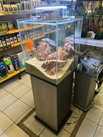 Aquarium NEUF avec meuble, Animaux & Accessoires, Poissons | Aquariums & Accessoires, Enlèvement ou Envoi, Comme neuf