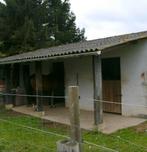 Prairie et box à louer dans propriété privée, Dieren en Toebehoren