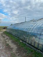 Druiven serre, Gebruikt, Kweekkas, Glas, Ophalen