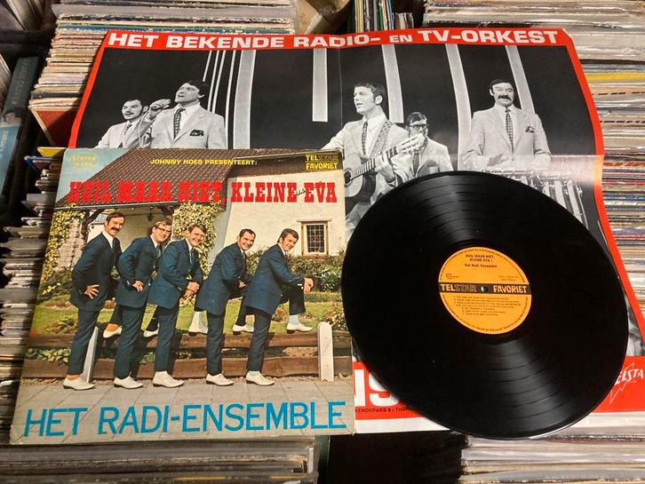 Het RADI-ESEMBLE/ + SUPERPOSTER, Cd's en Dvd's, Vinyl | Nederlandstalig, Ophalen of Verzenden