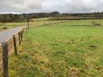 Terrain agricole à vendre sur Bastogne