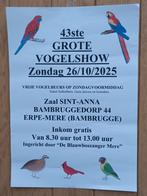 Vogeltentoonstelling  + vogelbeurs, Dieren en Toebehoren, Vogels | Kanaries
