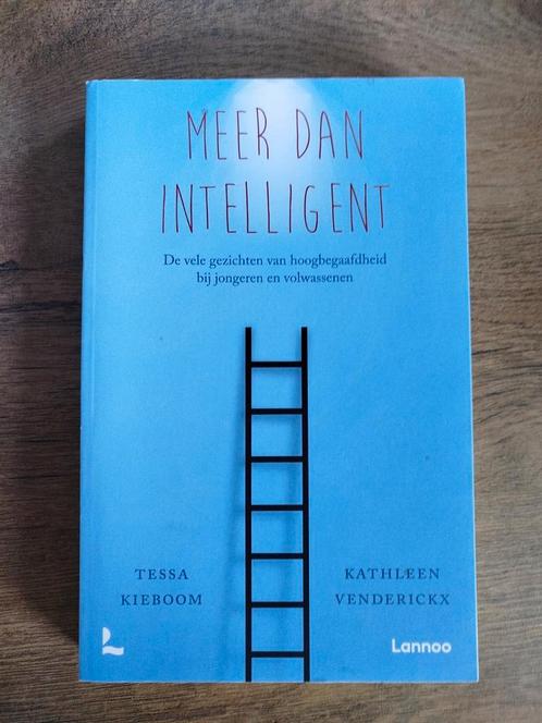 Tessa Kieboom - Meer dan intelligent, Boeken, Zwangerschap en Opvoeding, Zo goed als nieuw, Ophalen