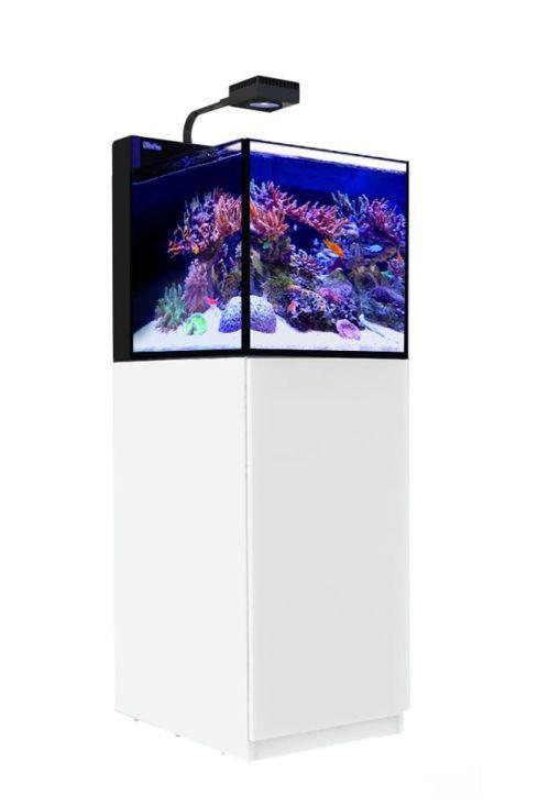 Red sea peninsula 100l met meubel + Reefdose + REEFATO +, Dieren en Toebehoren, Vissen | Aquaria en Toebehoren, Zo goed als nieuw