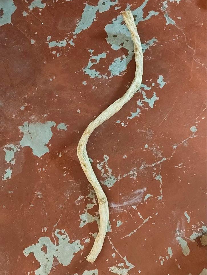 Terrarrium takken + groot stuk schors, Dieren en Toebehoren, Reptielen en Amfibieën | Toebehoren, Nieuw, Tak, Plant, Rots of Steen