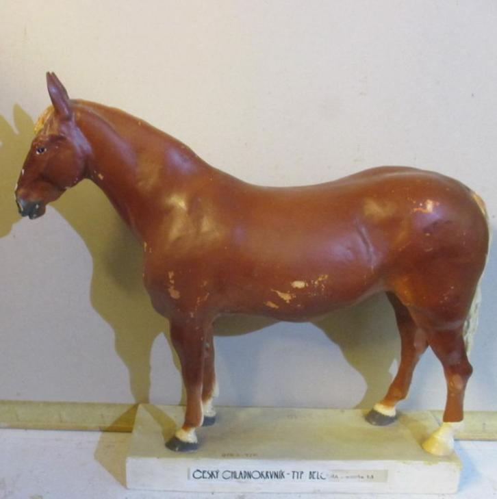 vintage model van een paard uit slagerij beenhouwerij school, Antiek en Kunst, Curiosa en Brocante, Verzenden