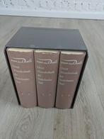 driedelige 'dikke' van Daele woordenboek Nederlands, Ophalen of Verzenden, Zo goed als nieuw, Nederlands
