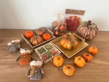 Lot herfstdecoratie beschikbaar voor biedingen
