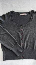 Nieuwe trui ,cardigan, merk HAMPTON BAYS . Maat L , 40 -42, Nieuw, Ophalen of Verzenden