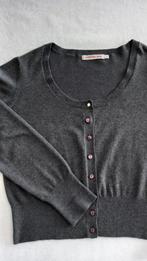 Nieuwe trui ,cardigan, merk HAMPTON BAYS . Maat L , 40 -42, Kleding | Dames, Ophalen of Verzenden, Nieuw