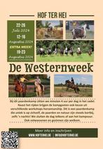 Paardenkamp De Westernweek, Dieren en Toebehoren, Paarden en Pony's | Overige Paardenspullen, Nieuw, Ophalen of Verzenden