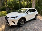 Lexus NX 300h Executive Line – 09/2021 – 62.000 km, Auto's, Lexus, 114 kW, Wit, Leder, 5 zetels