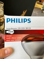 Philips infrarood lampen  10 stuks, Maison & Meubles, Comme neuf, Enlèvement ou Envoi