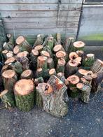 Stammen/takken brandhout, wilg, vers gezaagd, Tuin en Terras, Brandhout, Ophalen, Overige houtsoorten, Stammen