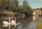 ZWANEN  MET  4  JONGEN  IN  LOIRET, Verzamelen, Postkaarten | Dieren, Verzenden, Ongelopen, Vogel