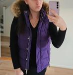 Echte Tommy hilfiger bodywarmer met nep bond, Kleding | Dames, Bodywarmers, Verzenden, Zo goed als nieuw, Maat 36 (S)