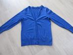 Liberty Island blauw vest maat XL, Kleding | Dames, Gedragen, Blauw, Ophalen of Verzenden, Maat 46/48 (XL) of groter