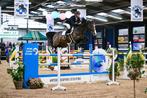 Lotti Blue Z ter dekking, Dieren en Toebehoren, Paarden en Pony's | Dekhengsten en Fokmerries