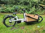Elektrische bakfiets van het topmerk Bergamont (E-Cargoville, Ophalen, Gebruikt