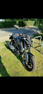 Yamaha motor, Motoren, Particulier, 125 cc, 11 kW of minder, Naked bike