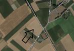Terrain agricole (44a57ca) à vendre (Riemst), RIEMST, Ventes sans courtier, 1500 m² ou plus