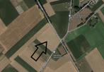 Terrain agricole (44a57ca) à vendre (Riemst), Immo, RIEMST, Ventes sans courtier, 1500 m² ou plus