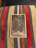 Herzele, Ophalen of Verzenden