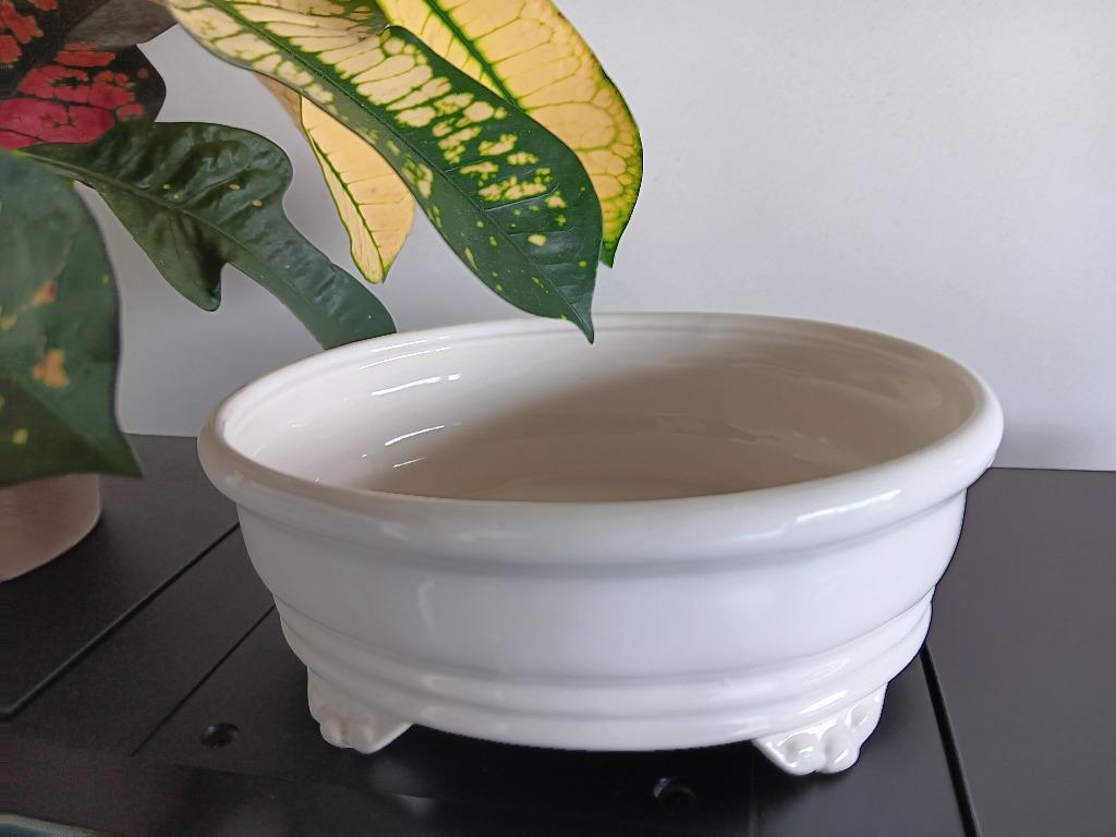 porseleinen bloempot voor kleine plantjes, Ophalen