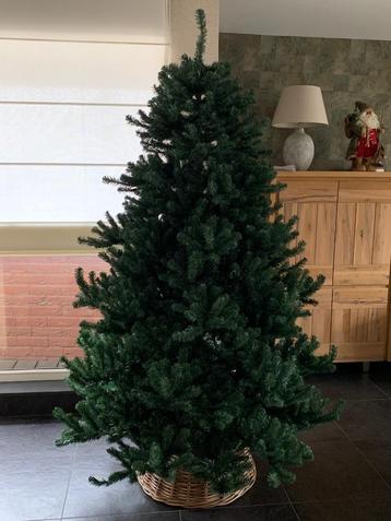 Kerstboom 210 cm hoog beschikbaar voor biedingen