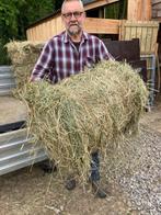hooi, Dieren en Toebehoren, Ophalen, Overige soorten