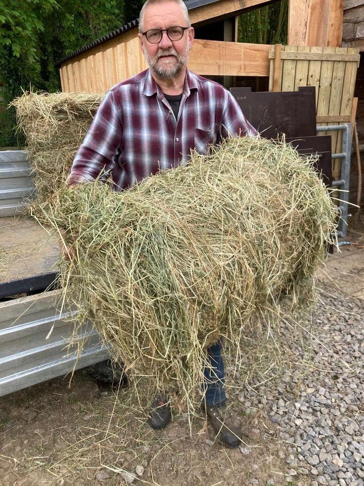 hooi, Dieren en Toebehoren, Dierenvoeding, Overige soorten, Ophalen