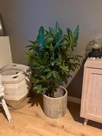 Fausses plantes, Enlèvement, Comme neuf, Intérieur