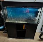 Aquarium met kast, Dieren en Toebehoren, Ophalen, Gebruikt, Leeg aquarium