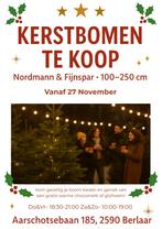 Kerstbomen te koop, Ophalen, Zo goed als nieuw