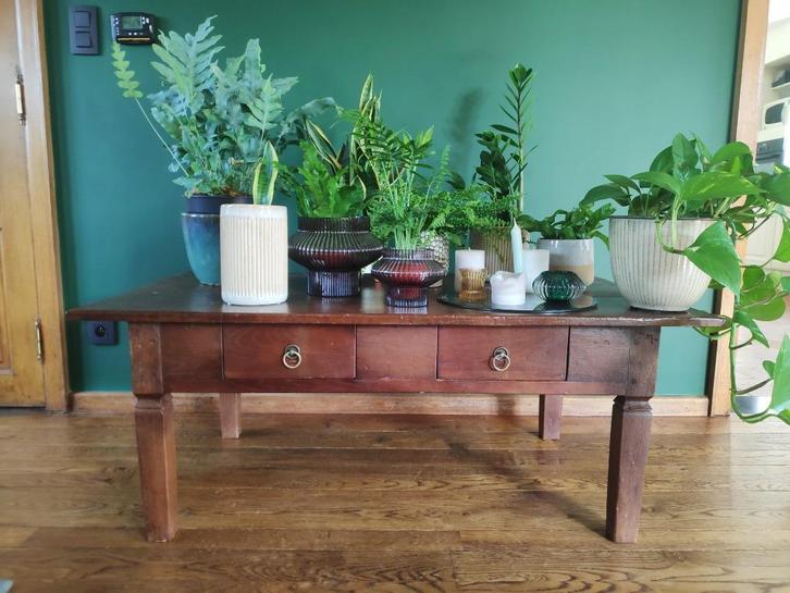 Table basse rustique unique en bois massif, Maison & Meubles, Tables | Tables de salon, Utilisé, Moins de 50 cm, 50 à 100 cm, 100 à 150 cm